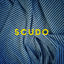 Cover Scudo