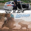 Cover Lyonnais