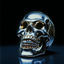 Cover Silver Skull 2