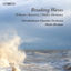 Cover Breaking Waves