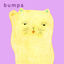 Cover Bumps