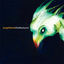 Cover Voo Nocturno