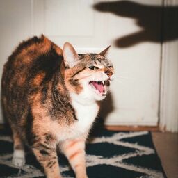 ''