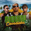 Cover Biquini Cavadinho