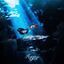 Cover AVANT LES YEUX