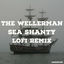 Cover The Wellerman ~ Sea Shanty Lofi