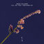 Cover All Of You / Beyond Us
