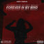 Cover Forever In My Mind