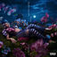 Cover ORQUÍDEAS PARTE 2 (Deluxe)