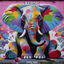 Cover Nairobi