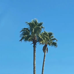 ''