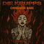 Cover Cinnamon Girl