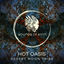 Cover Desert Moon Tribe
