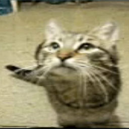 ''