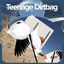 Cover Teenage Dirtbag - Remake Cover