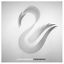 Cover Cisne Negro