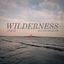 Cover Wilderness
