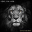 Cover Love Is a Lion