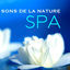 Cover Sons de la Nature – Spa: Musique Relaxante pour Spa, Reiki, Yoga, Massage et Détente