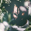 Cover Something