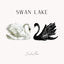 Cover Swan Lake Theme (from Swan Lake) (Piano Version)