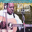 Cover The Sonet Blues Story