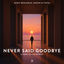 Cover Never Said Goodbye (Jimmy Chou Remix)