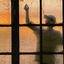 Cover The Allegory of Crystal Shadows