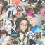 Cover Shelly