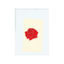 Cover ILYSB