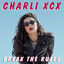 Cover Break the Rules
