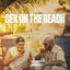 Cover Sex On The Beach