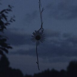 ''