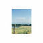 Cover #FFFF00