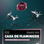 Cover Back To Dancing