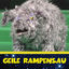 Cover Geile Rampensau