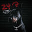 Cover 247