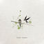 Cover Paper Planes