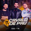Cover Cavalo de Pau