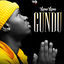 Cover Gundu