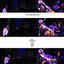 Cover New Concepts in Piano Trio Jazz