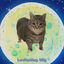 Cover Levitating Oiia