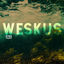 Cover Weskus