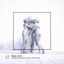 Cover Don't Cry