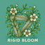 Cover Rigid Bloom
