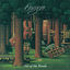 Cover Out Of The Woods