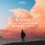 Cover A Place Beyond Belief (Monrroe Remix)