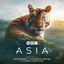 Cover Asia (Original Television Soundtrack)