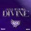 Cover Divine