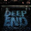 Cover Deep End